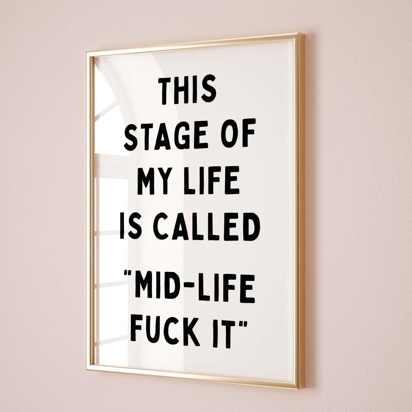 This Stage Of My Life Is Called Mid Life Fuck It Card Art Print