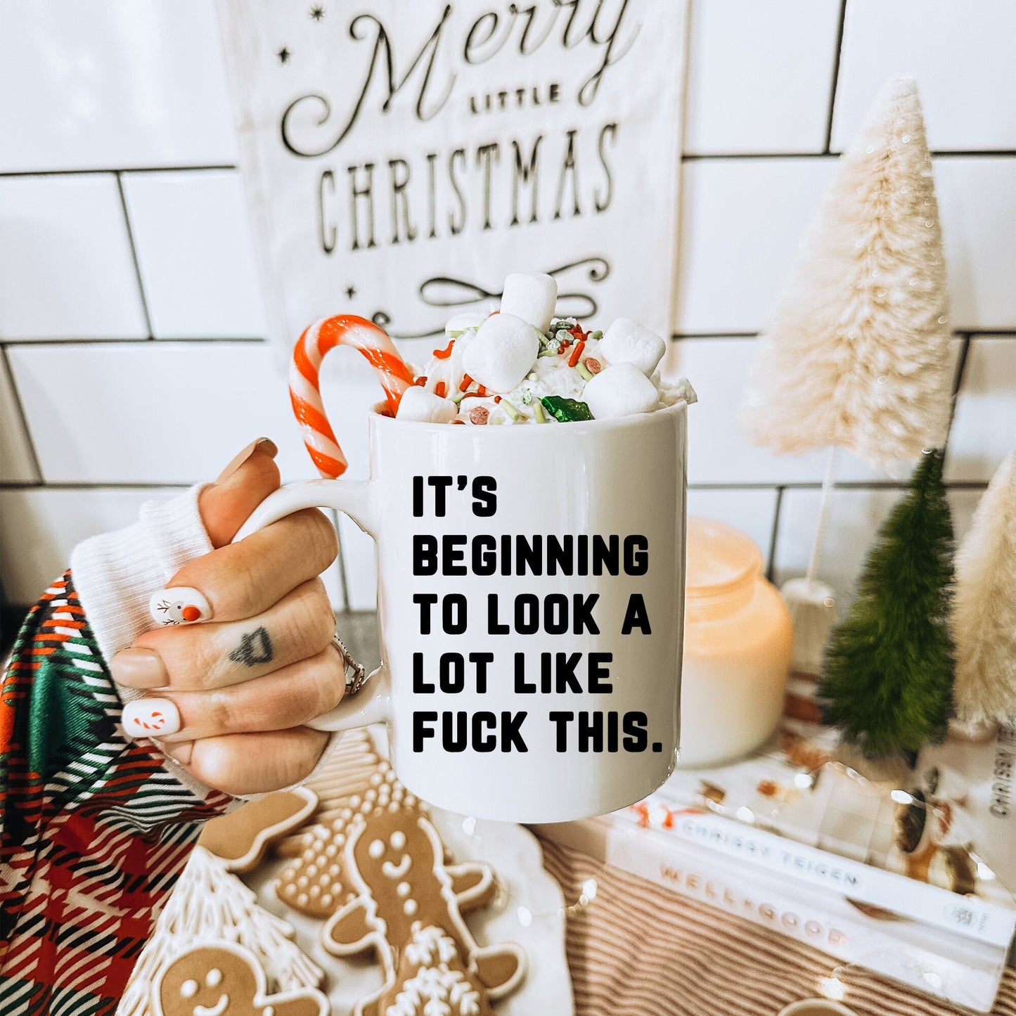 Its Beginning To Look A Lot Like Fuck This Mug